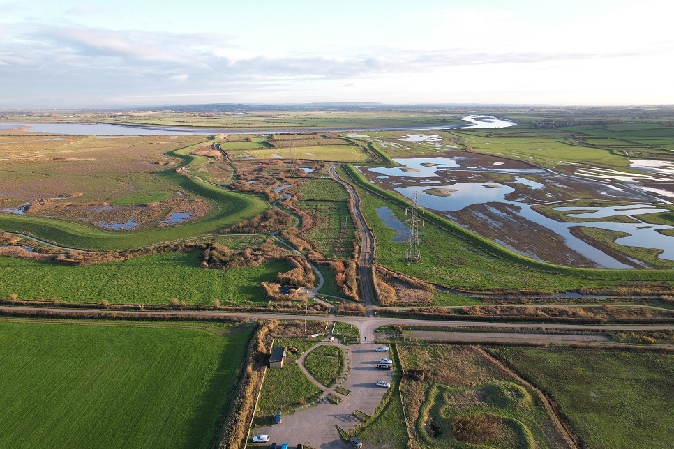Exploring Steart Marshes and Beyond