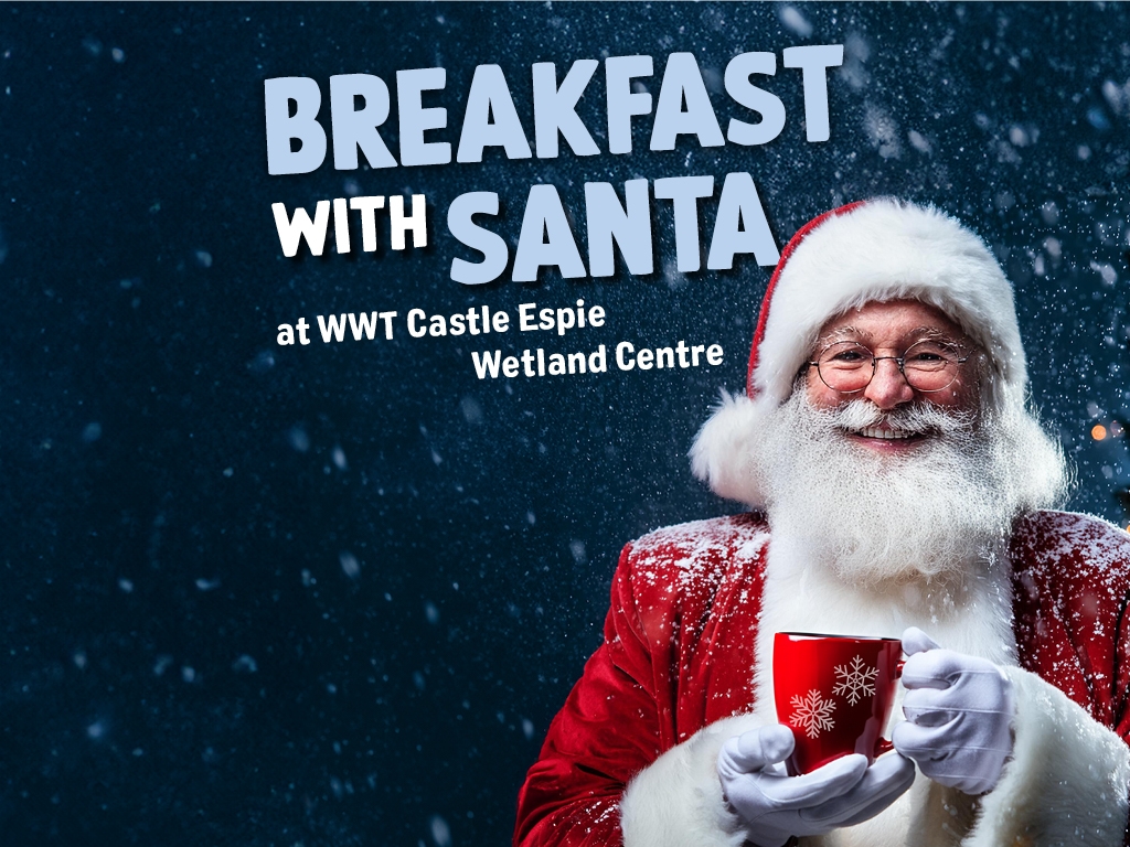 Breakfast with Santa