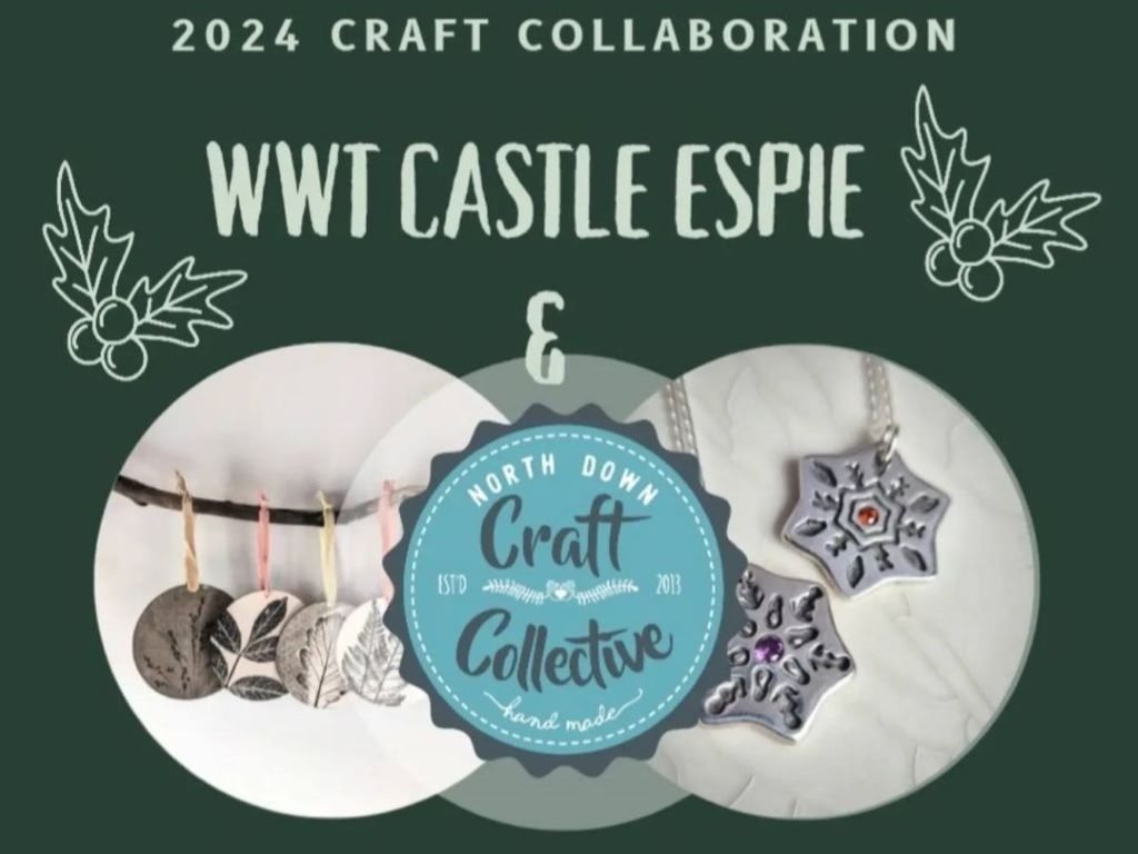 Christmas Craft Market with North Down Craft Collective